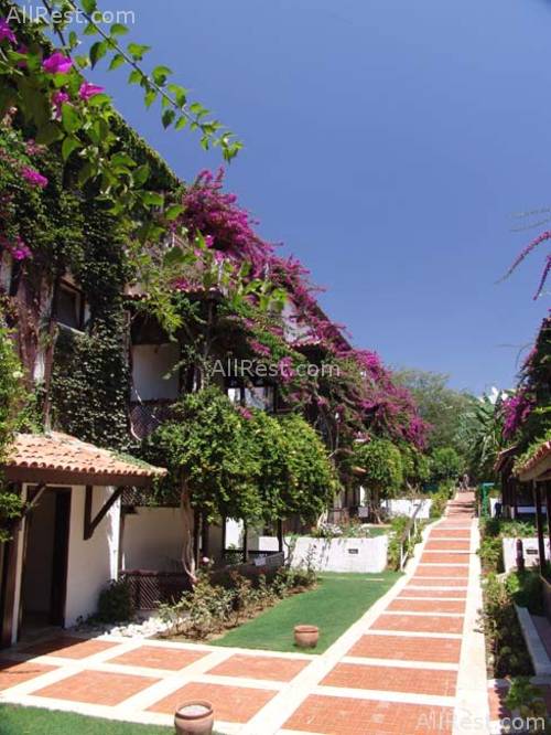 Club Titan Hotel 5